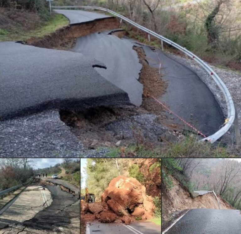 Γ. Παπαηλιού: Η Αρκαδία μετράει πληγές – Δεν αντέχει άλλη αδιαφορία