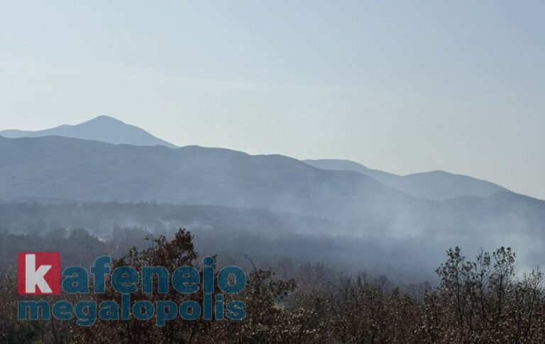 Φωτιά ανάμεσα στα χωριά Ρούτσι και Βουτσαρά